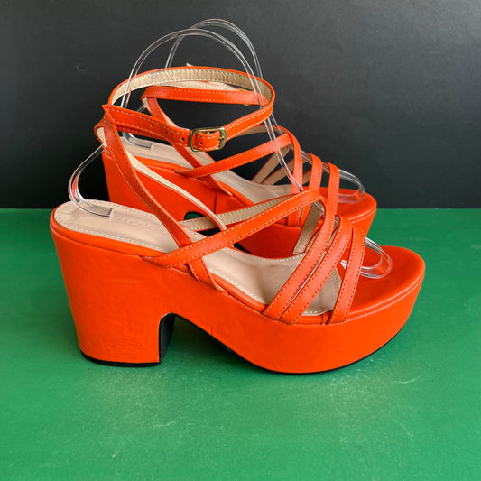 Cuccoo | Eur 40